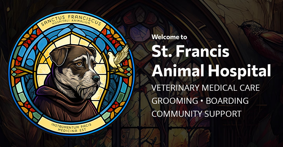 St. Francis Animal Hospital